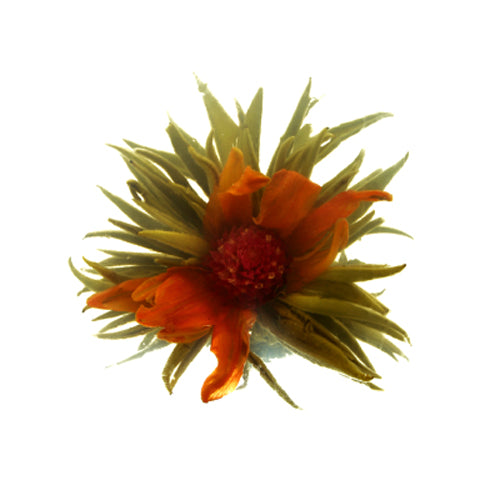 Teekukka Auringonnousu 4 kpl