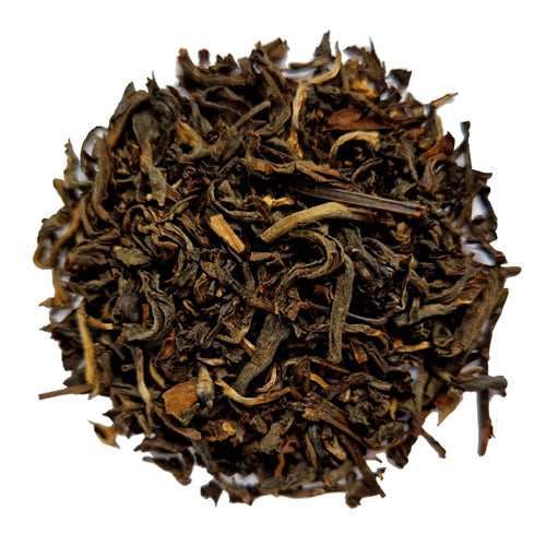 Vietnam Golden Monkey