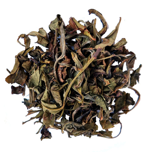 Nilgiri Peony, Intia