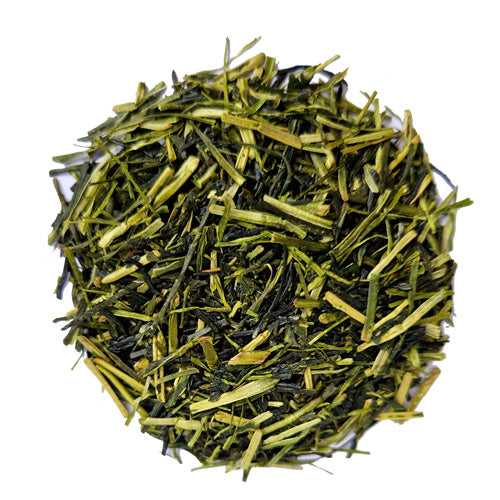 Morimoto Shiraore First Flush, Japani