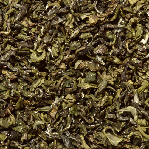 Jun Chiyabari HG, Nepal